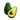 Avocado Hass