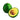 Avocado Orotava