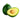 Avocado Reed