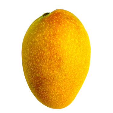 Keitt Mango